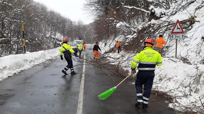 Maltempo, chiusa temporaneamente la SS 334 del Sassello Maltempo, chiusa temporaneamente la SS 334 del Sassello