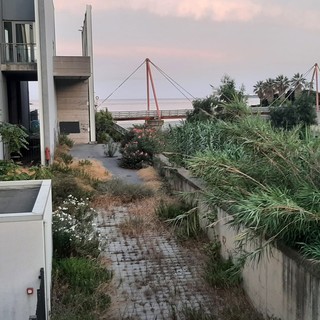 Savona, una raccolta firme per riavere il passaggio pedonale in corso Colombo: "Tolto ingiustamente in modo ignobile e irresponsabile"
