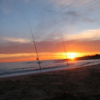 Pesca sportiva, Pisani: "Norma nazionale da rivedere. ripristinare sanzioni per novellame e istituire licenza"