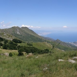 Federparchi Liguria al ministro Cingolani: "Integrare i parchi regionali nel sistema nazionale"