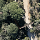 Celle, riqualificazione del verde nel parco delle ex Colonie e parcheggi dal Palazzetto: intervento da 1 milione e 400mila euro Celle, riqualificazione del verde nel parco delle ex Colonie e parcheggi dal Palazzetto: intervento da 1 milione e 400mila euro
