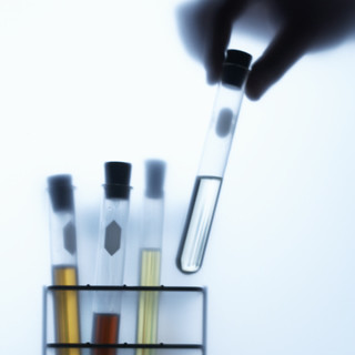 Celle: invito ad amare la scienza per l'evento rivolto a bambini, ragazzi e adulti