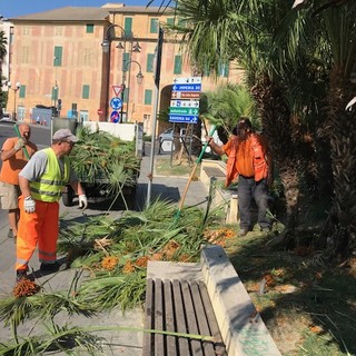 Albenga: smontato il palco in piazza del Popolo, interventi radicali di pulizia