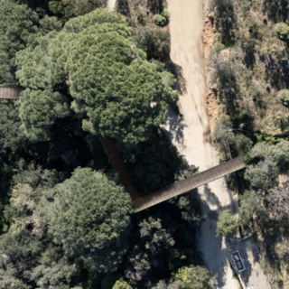 Celle, riqualificazione del verde nel parco delle ex Colonie e parcheggi dal Palazzetto: intervento da 1 milione e 400mila euro Celle, riqualificazione del verde nel parco delle ex Colonie e parcheggi dal Palazzetto: intervento da 1 milione e 400mila euro