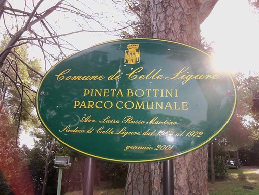 Celle, un 'evento magico' nella pineta Bottini Celle, un 'evento magico' nella pineta Bottini