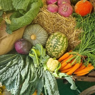 Non solo Ognissanti, il 1° novembre si celebra la Giornata mondiale dei vegani