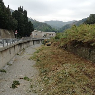 Albisola, iniziati i lavori di pulizia dell'alveo del rio Basco