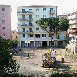 WWF Savona chiede nuovi alberi in Piazza Matteotti ad Albenga WWF Savona chiede nuovi alberi in Piazza Matteotti ad Albenga