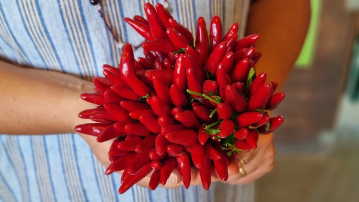 Tutti i benefici del peperoncino: piccante e salutare Tutti i benefici del peperoncino: piccante e salutare