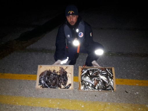 Andora, pesca a strascico in una zona vietata: intervento della Capitaneria di Porto di Loano