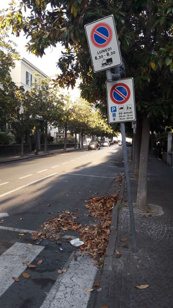 Albenga: spazzamento delle strade, scattano le multe ma la via rimane sporca Albenga: spazzamento delle strade, scattano le multe ma la via rimane sporca
