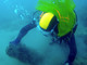 I fondali di Bergeggi come non li avete mai visti: snorkeling nel'area marina protetta