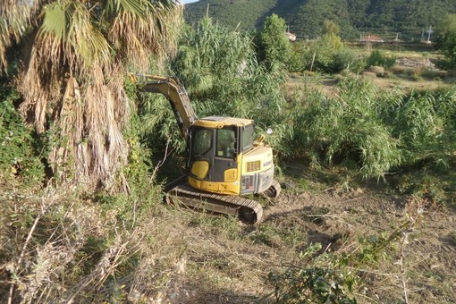 Albenga, al via i lavori di pulizia del Centa e dei rii Antognano e Carenda Albenga, al via i lavori di pulizia del Centa e dei rii Antognano e Carenda