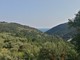 GAL Valli Savonesi, aperte le manifestazioni d'interesse al bando per la creazione di un Consorzio Forestale