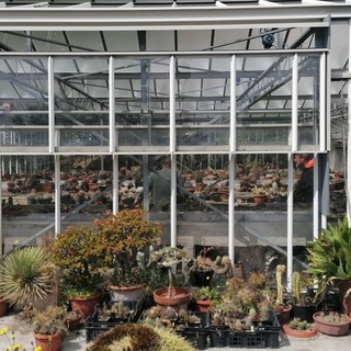 Savona, 48 Patti tra Comune e cittadini per valorizzare spazi e parchi della città