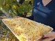 Oggi è il World Pasta Day, per un gusto senza tempo