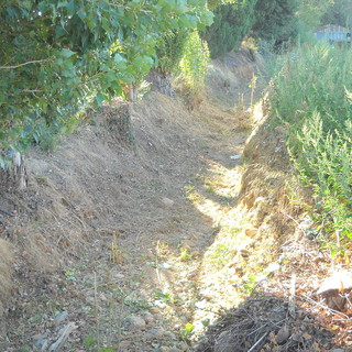 immagine di repertorio