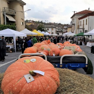 Il comune di Cengio si è aggiudicato il "Premio Piccolo Comune Amico"