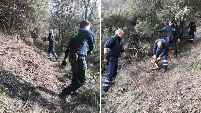 Celle, la protezione civile pulisce il sentiero Liguria da Pecorile a Sanda (FOTO)