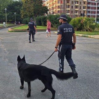 Hashish nascosto sotto una siepe, lo spaccio tra gli spalti delle Trincee: arrestato a Savona un 26enne