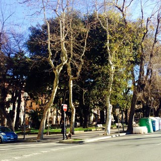Giardini di piazza del Popolo a Savona: dalla prossima settimana al via la riqualificazione, dopo un anno e mezzo di ritardo