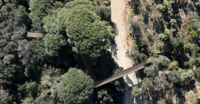 Celle, riqualificazione del verde nel parco delle ex Colonie e parcheggi dal Palazzetto: intervento da 1 milione e 400mila euro
