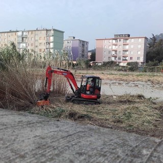 Manutenzioni di fossi e canali ad Albisola, il sindaco ordina ai privati di provvedere alla pulizia
