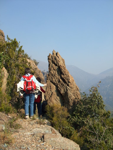 Mare... ma non solo! Grandi e piccoli protagonisti sulla riviera del Beigua Mare... ma non solo! Grandi e piccoli protagonisti sulla riviera del Beigua