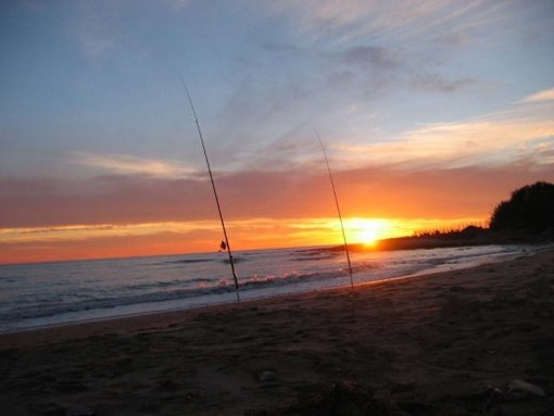Pesca sportiva, Pisani: "Norma nazionale da rivedere. ripristinare sanzioni per novellame e istituire licenza"
