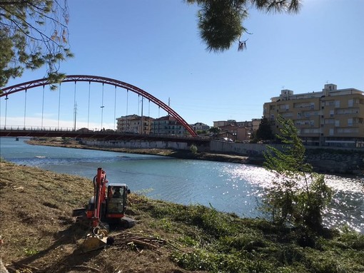 Albenga: lunedì partiranno i lavori per la rimozione dei tronchi sotto il ponte per Bastia