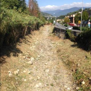 Proseguono i lavori di sfalcio e pulizia dei fiumi sul territorio finalese