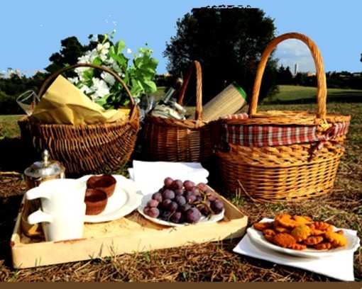 A Pietra Ligure un picnic per San Valentino presso la sede di AsinOlla