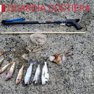 Pesca a meno di 500 metri dalla riva, sub sanzionato dalla Guardia Costiera