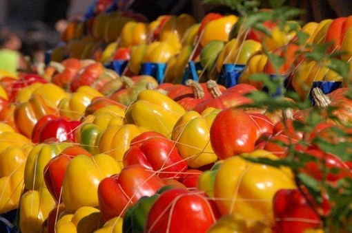 Fiera Nazionale del Peperone: dall'1° al 10 settembre a Carmagnola Fiera Nazionale del Peperone: dall'1° al 10 settembre a Carmagnola