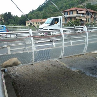 Villanova d'Albenga: due incidenti e la barriera laterale a monte del ponte va distrutta