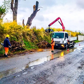 Albenga, la Protezione civile attiva sul territorio per la pulizia di rii e canali
