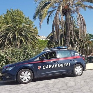 Savona, palma pericolante in zona Prolungamento (FOTO)