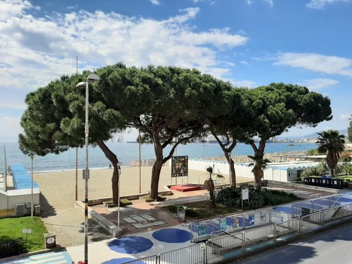 Albissola, prove di trazione sui pini in passeggiata: senso unico alternato sull'Aurelia per due sere Albissola, prove di trazione sui pini in passeggiata: senso unico alternato sull'Aurelia per due sere