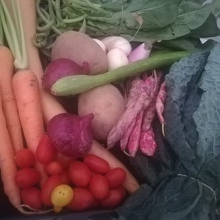 "Campagna sana, dieta amica": la proposta di Coldiretti Liguria per la Settimana mondiale dell'alimentazione