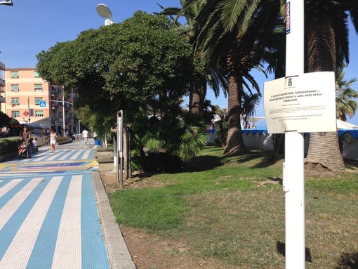 Notevole afflusso di turisti ad Albissola Marina, ma sui bivacchi il Comune dice basta: "Le aree verdi non sono un prolungamento della spiaggia" Notevole afflusso di turisti ad Albissola Marina, ma sui bivacchi il Comune dice basta: "Le aree verdi non sono un prolungamento della spiaggia"