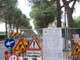 Proseguono i lavori per abbattere le barriere architettoniche in via Einaudi ad Albenga: salvi i 40 pini Proseguono i lavori per abbattere le barriere architettoniche in via Einaudi ad Albenga: salvi i 40 pini
