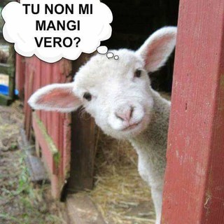 Enpa, "Per una Pasqua di Pace" arrivano le uova solidali