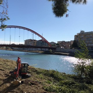 Albenga: lunedì partiranno i lavori per la rimozione dei tronchi sotto il ponte per Bastia