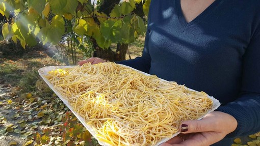 Oggi è il World Pasta Day, per un gusto senza tempo
