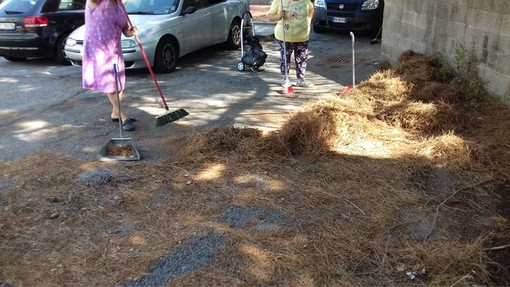 Savona, dopo diverse segnalazioni al comune e a Arte i cittadini ripuliscono via Bresciana (FOTO) Savona, dopo diverse segnalazioni al comune e a Arte i cittadini ripuliscono via Bresciana (FOTO)