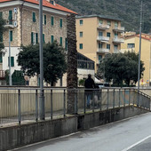 "Impegno per Finale": "Palma collassata al suolo a Pia, poca attenzione al verde pubblico"