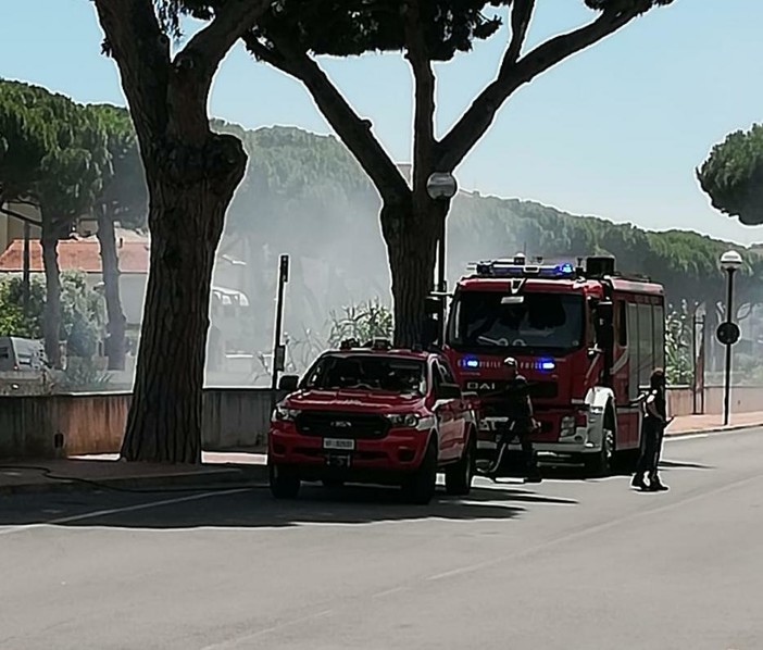 Pietra Ligure, principio di incendio nel torrente Maremola: Vigili del Fuoco in azione