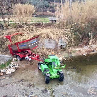 Tovo San Giacomo: continua la pulizia del torrente Maremola