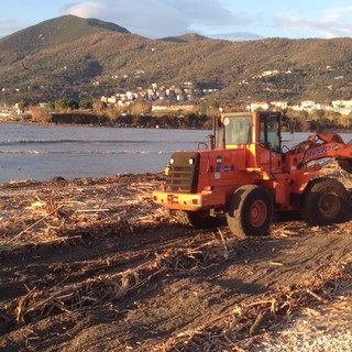 Albenga pulisce le spiagge dal legno alluvionale
