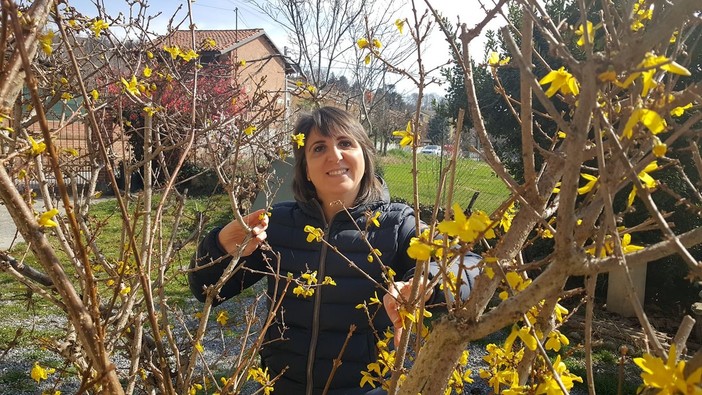 Ciao inverno, benvenuta primavera! Viole, magnolie, forsizia… finalmente è tutto un fiore